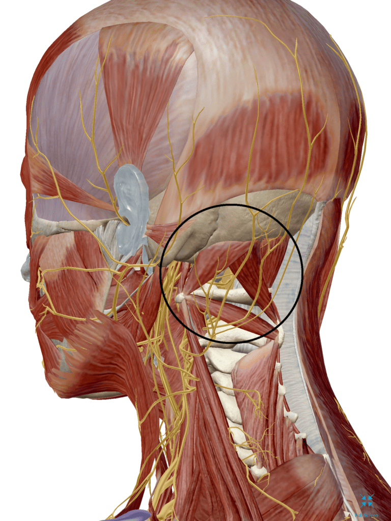 WHAT IT IS — REACH Rehab + Chiropractic, Plymouth MI