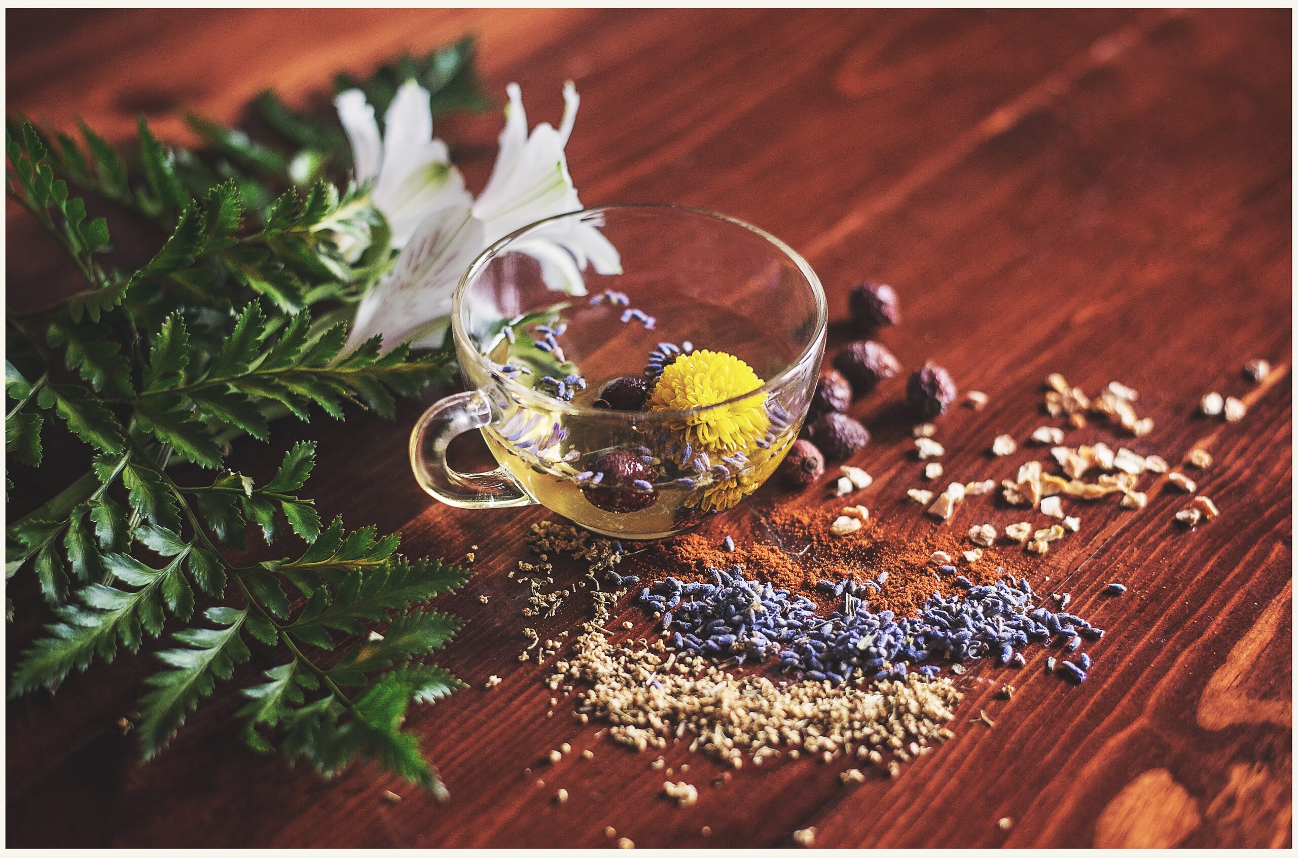 Holistic Chiropractor: What Does This Mean and Should I Care?